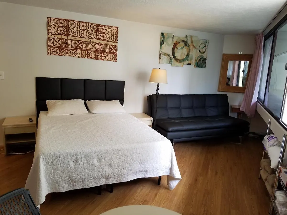 Spacious Studio W/ Parking, Beach/Mall/Park Honolulu Apartment